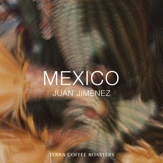 Mexico Juan Jimenez Giron Garnica Washed