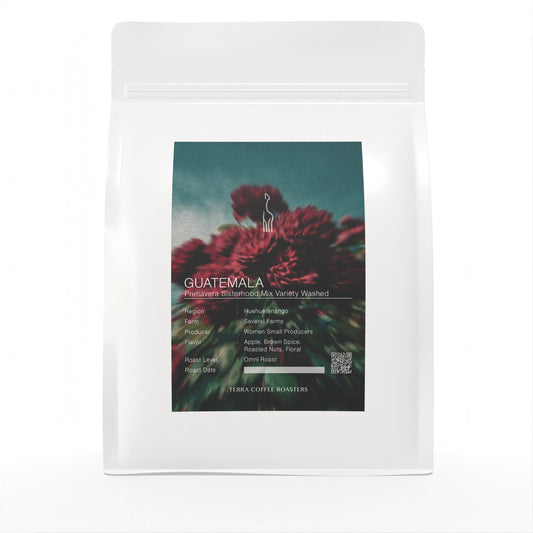 【DAILY ROAST】Guatemala Primavera Sisterhood Mix Variety Washed Omni