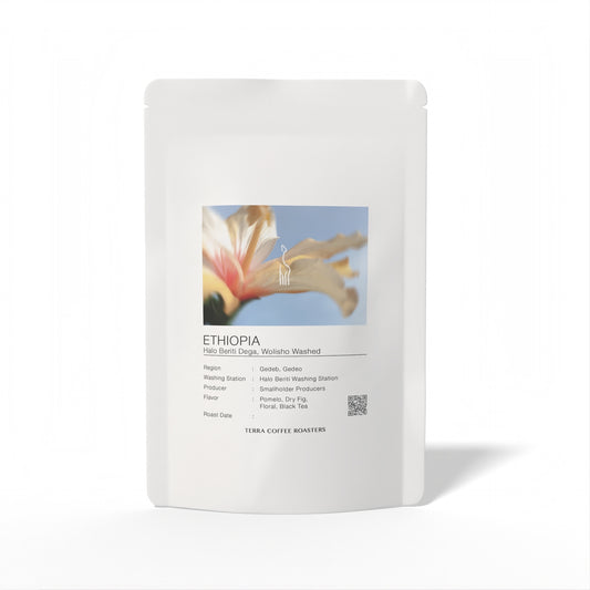 ETHIOPIA Halo Beriti Dega,Wolisho Washed