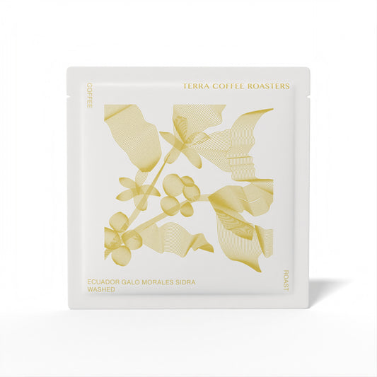 Ecuador Galo Morales Sidra  Washed Drip Bag