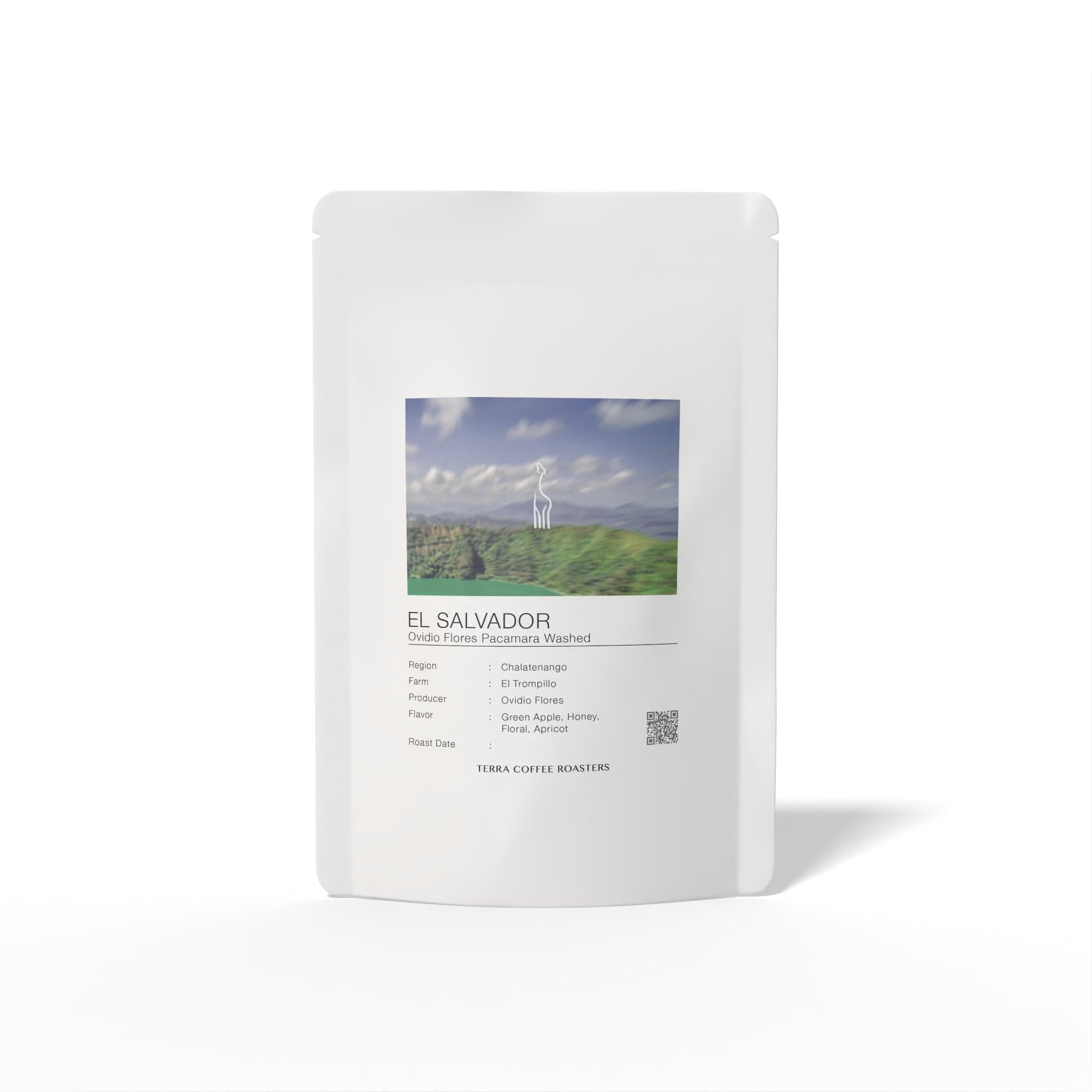 El Salvador Ovidio Flores Pacamara Washed