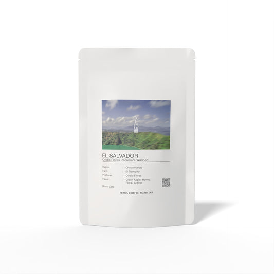 El Salvador Ovidio Flores Pacamara Washed