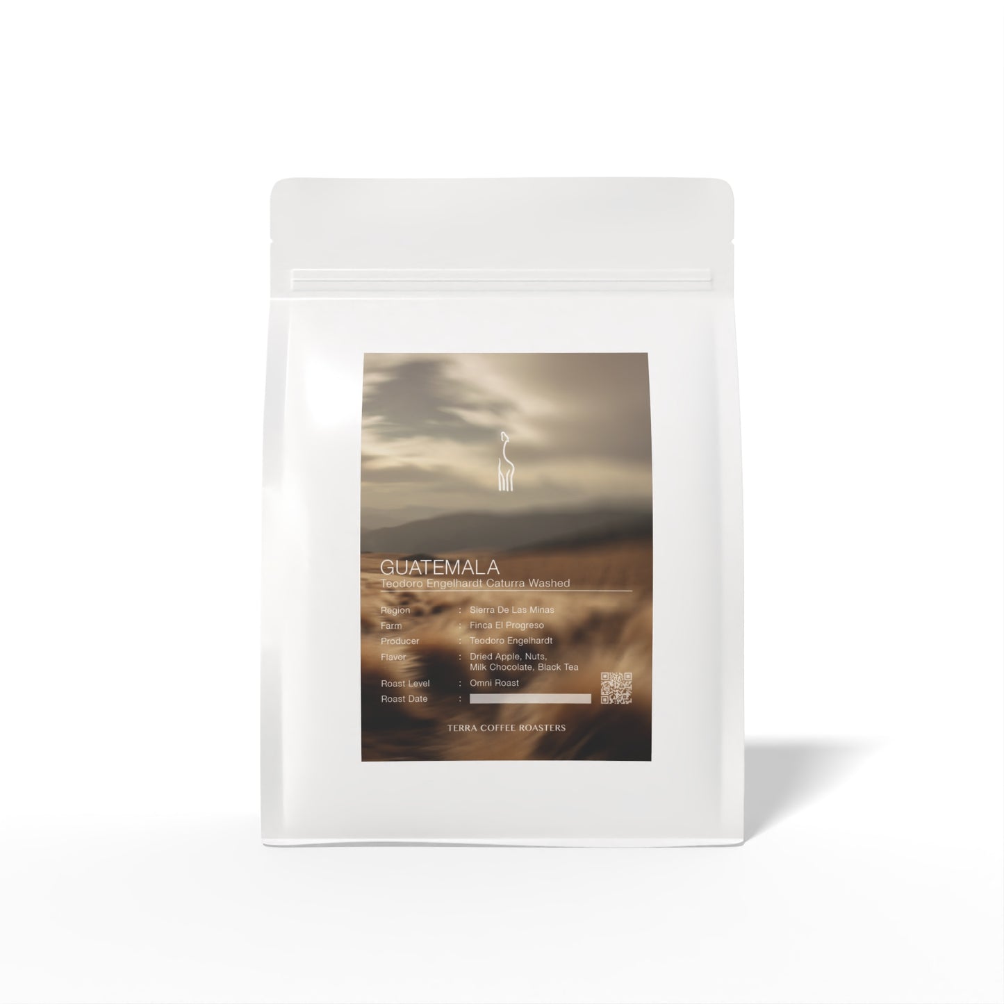 【Daily Roast】Guatemala Teodoro Engelhardt Caturra Washed