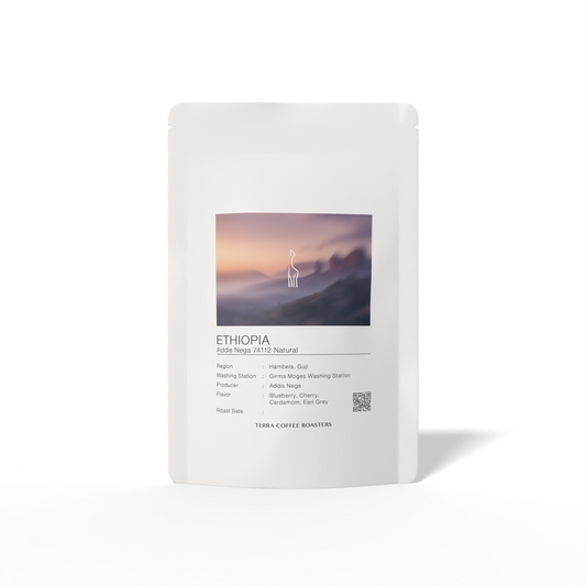 Ethiopia Addis Nega 74112 Natural