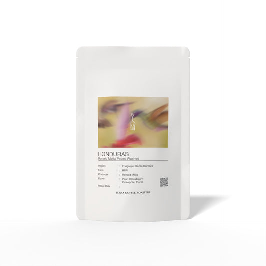 Honduras Ronald Mejia Pacas Washed