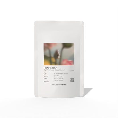 Honduras Angel Paz Yellow Catuai Washed