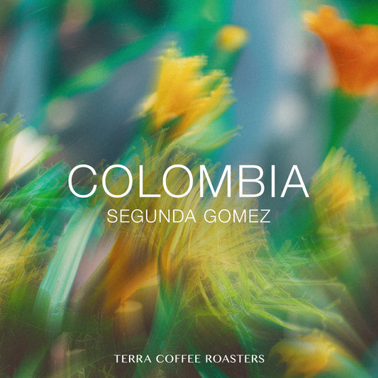 Colombia Segunda Gomez Caturra Washed