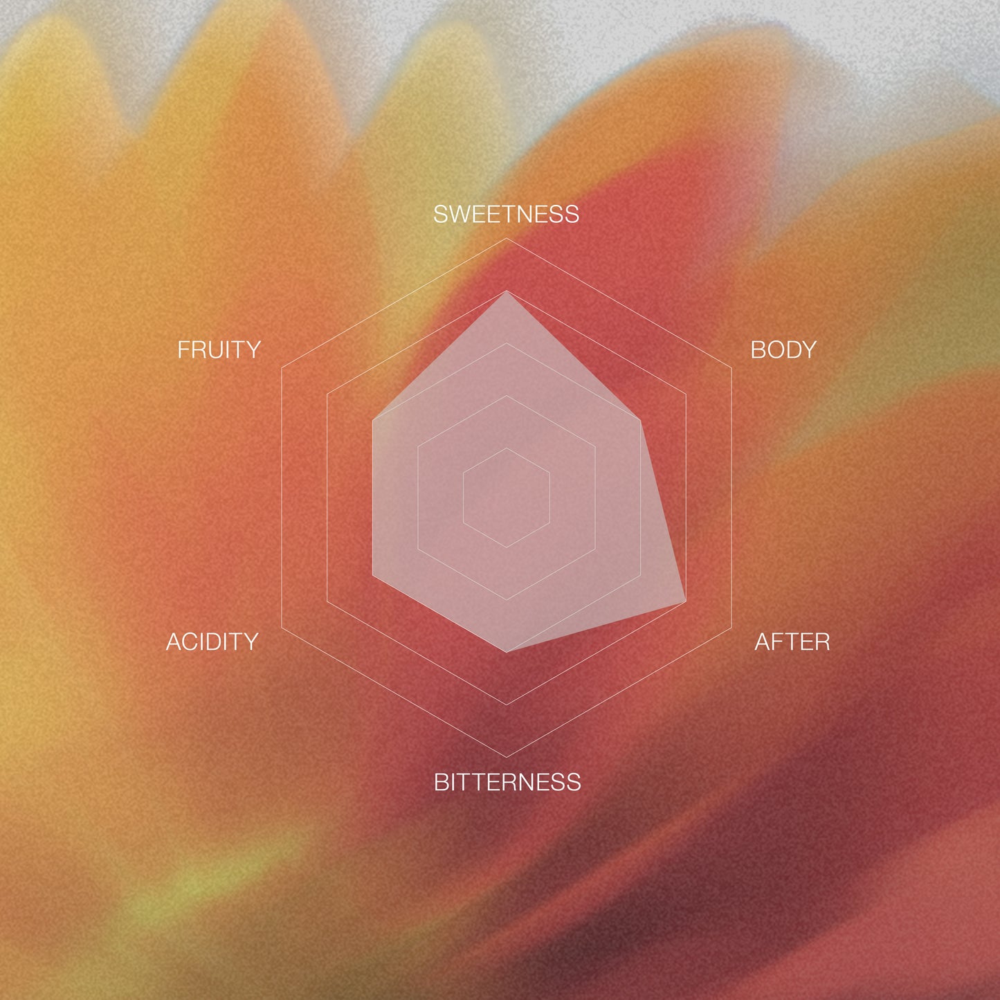 【Daily Roast】Colombia Segunda Gomez Caturra Washed