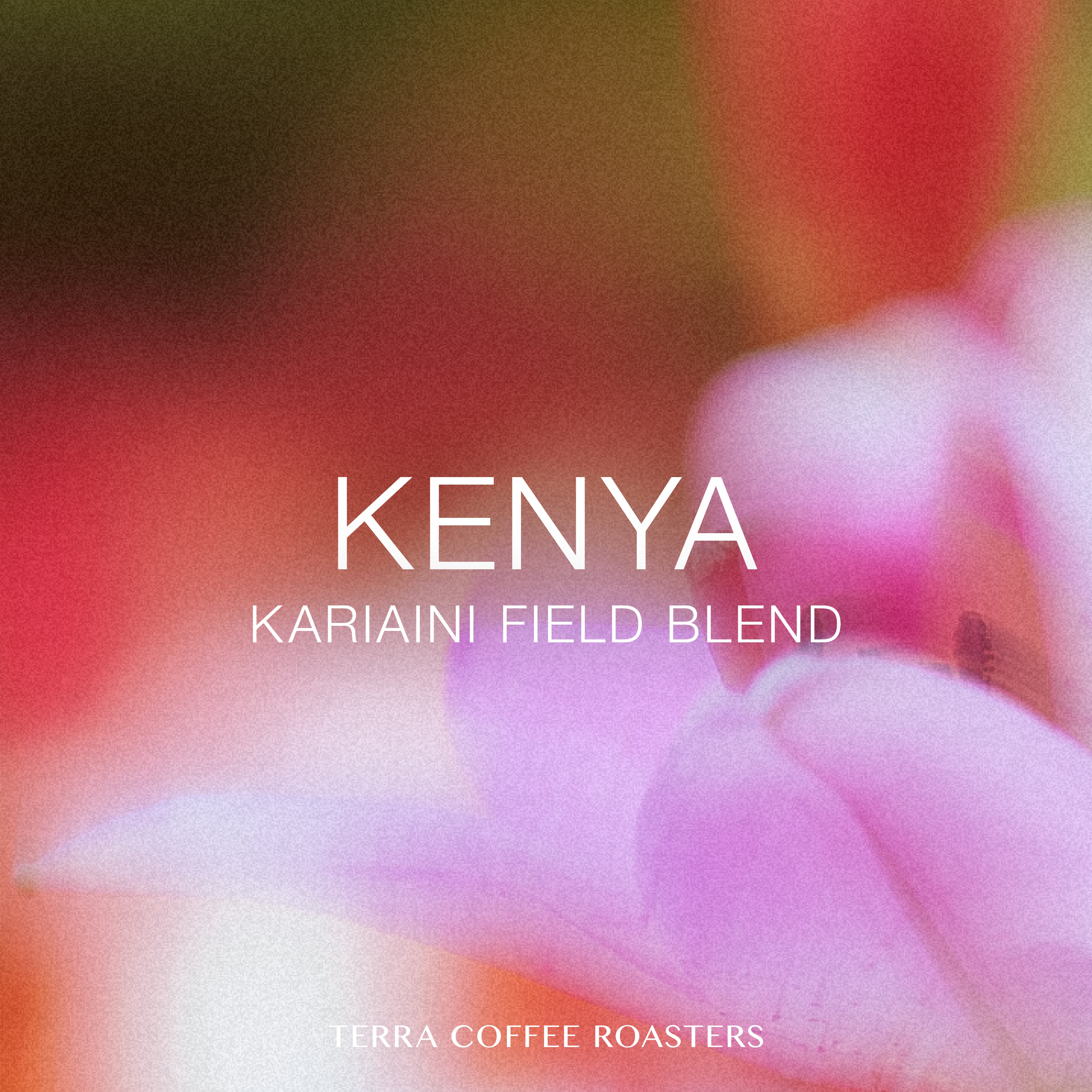 Kenya Kariaini Field Blend AA Washed – TERRA COFFEE ROASTERS