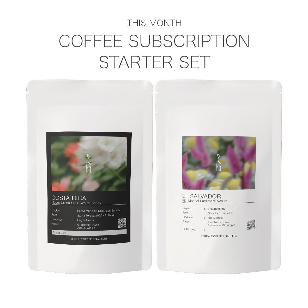 12月 Coffee Subscription Starter Set